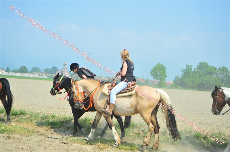 DSC_0834.JPG
